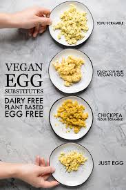 Yes U Can Vegan Egg Replacer 180gr